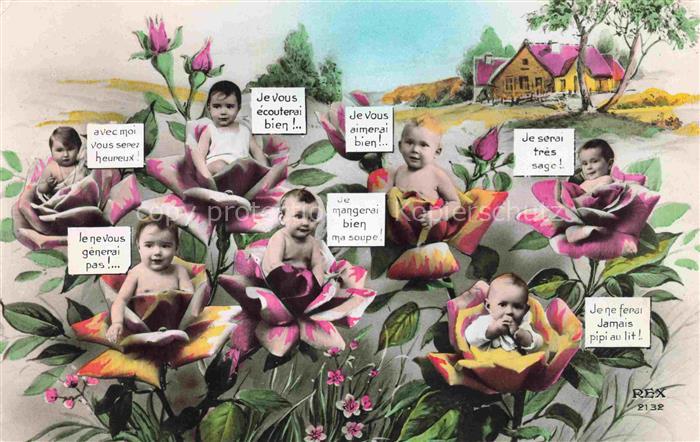 Foto REX Nr. 2132 Babys Rosen