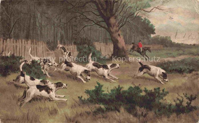 Jagd Chasse Hunting Hunde Bruxelles