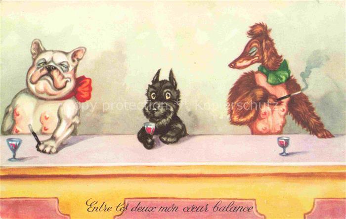 Vermenschlicht Hunde Wein