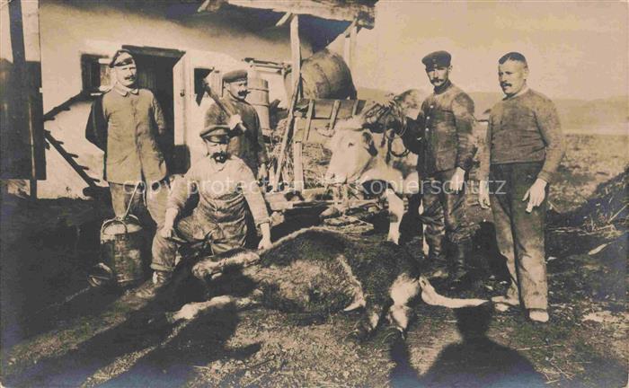 Landwirtschaft Kuehe Maenner