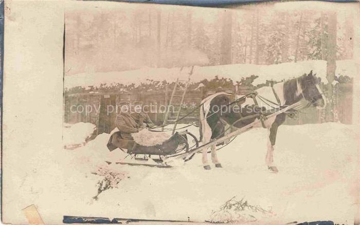 Landwirtschaft Kutsche Maenner Winter
