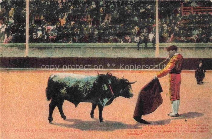 Stierkampf Corrida de Toros Bullfight--