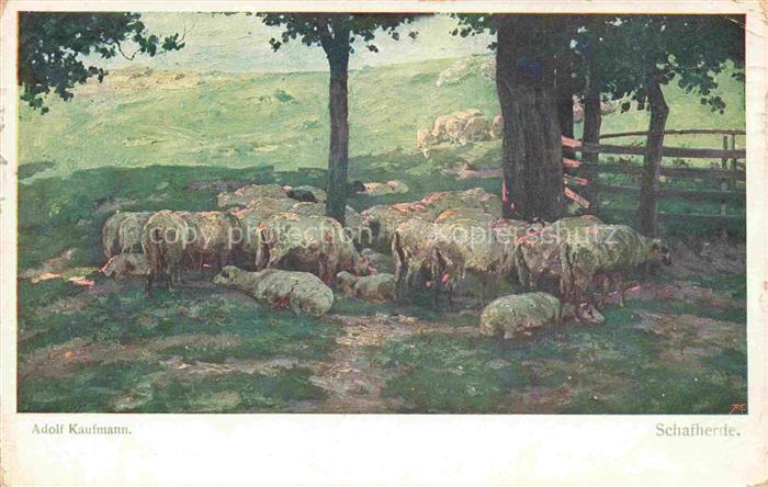 Verlag Wiener Kuenstler-Postkarte Nr. Adolf Kaufmann Schaferherde