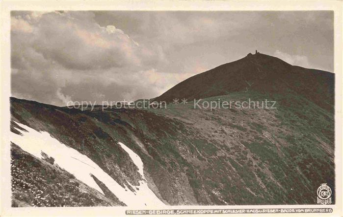 Foto Hahn Nr. 7341 Riesengebirge Schneekoppe Baude vo