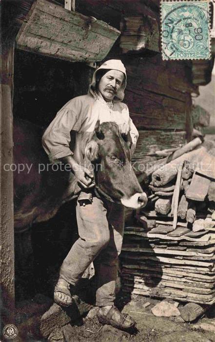 Foto NPG Nr. 545/6 Bauer Kuh