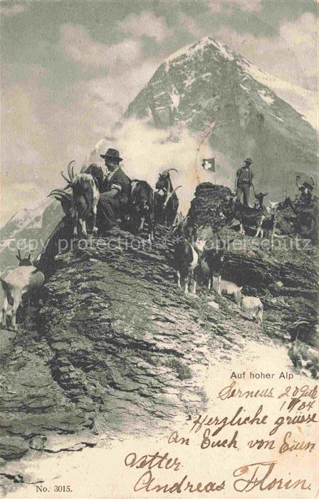 Gemsen Steinbock Capricorn Capricorne Capricornio-- Auf hohe Alp