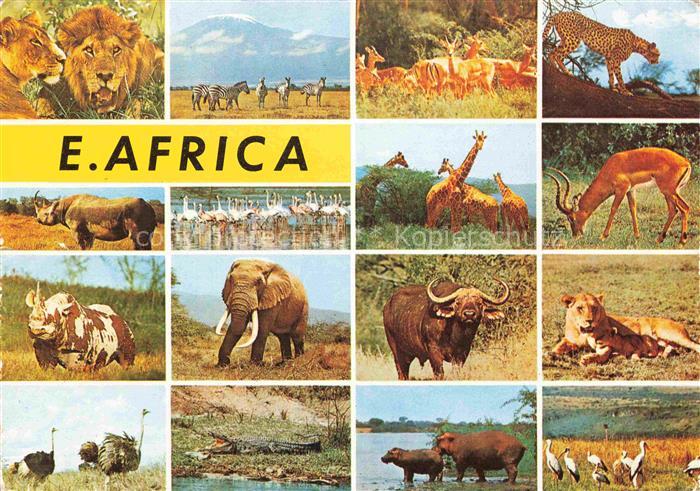 TIERE Animals Animaux Animales Animali-- E. Africa Elefant Girafe Tieger Loewe N