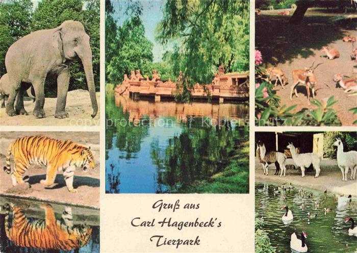 Zoo Gardin Zoologique-- Carl Hagenbeck Hamburg Stellingen