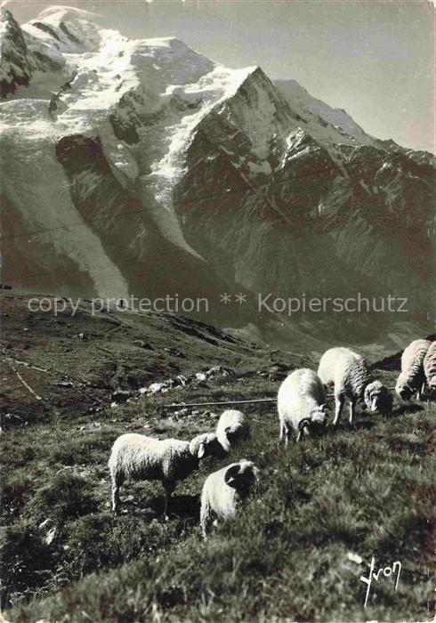 Schaeferei Sheperding Bergerie-- Chamonix