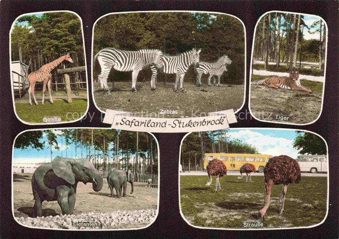 Zoo Gardin Zoologique-- Safariland Stukenbrock Strauss Elefant Zebra Giraffe Tie