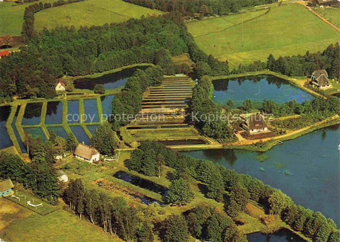 Soltau Soltau-Fallingbostel Niedersachsen Forellenzucht Spiekerhof Fliegeraufnah