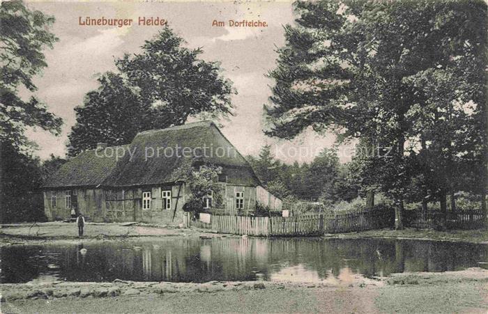 Fallingbostel Bad Baeuerliches Anwesen am Dorfteiche Lueneburger Heide