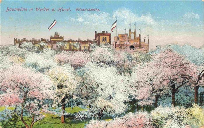 Werder Havel Friedrichshoehe Baumbluete