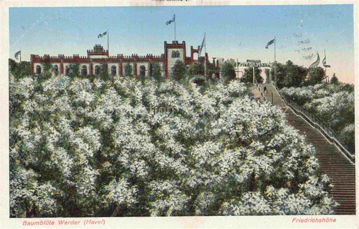 Werder Havel Friedrichshoehe Baumbluete