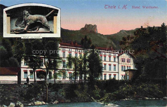 Thale Harz Hotel Waldkater Relief