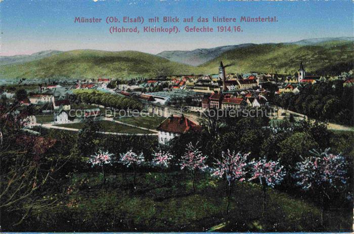 MueNSTER   Westfalen NRW mit Blick ins hintere Muenstertal