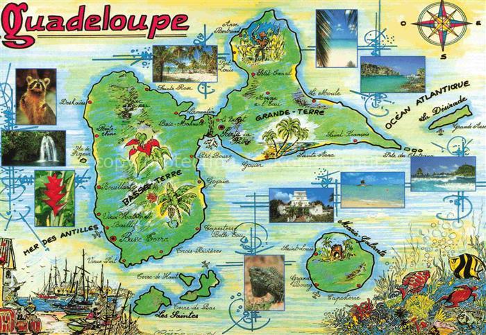 Guadeloupe Illustration Paul Ovejero Kuenstlerkarte