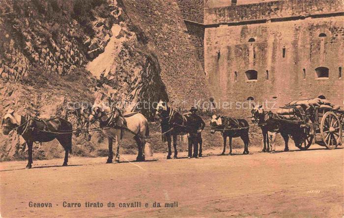 GENOVA Genua Liguria IT Carro tirato da cavalli e da muli