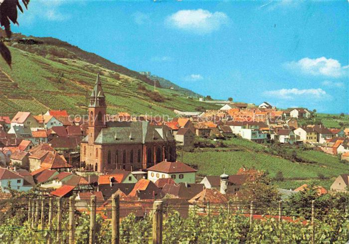 St Martin Pfalz Panorama Kirche