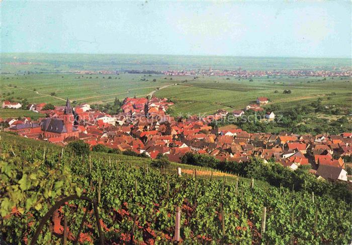 St Martin Pfalz Panorama