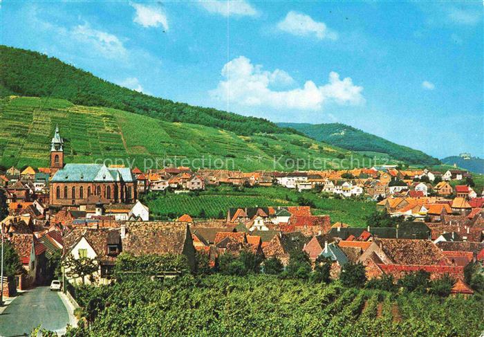 St Martin Pfalz Panorama Kirche