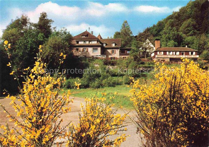 Elmstein Rheinland-Pfalz Naturfreundehaus Elmstein