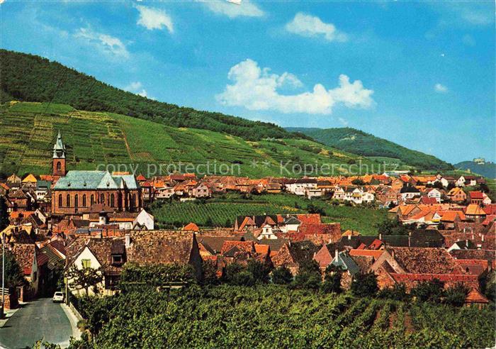 St Martin Weinstrasse Pfalz Panorama Kirche