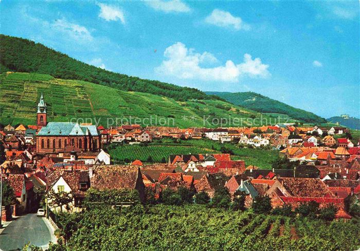 St Martin Weinstrasse Pfalz Panorama Kirche