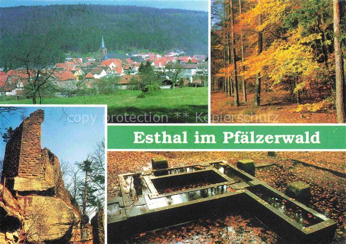 Esthal Panorama Ruine Brunnen Waldpartie