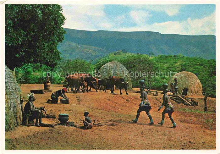 Natal Suedafrika Southafrica RSA Zulus at Home in the Bantu Reserve bounded by t