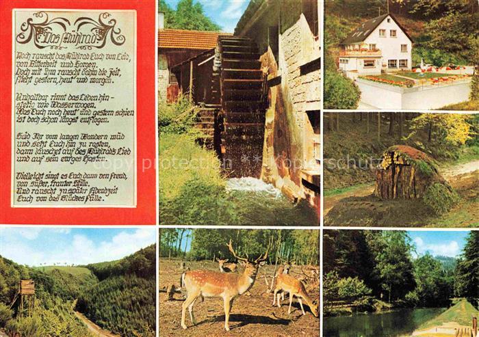 Elmstein Rheinland-Pfalz Hotel Elmsteiner Hof Wasserrad Landschaftspanorama Wald