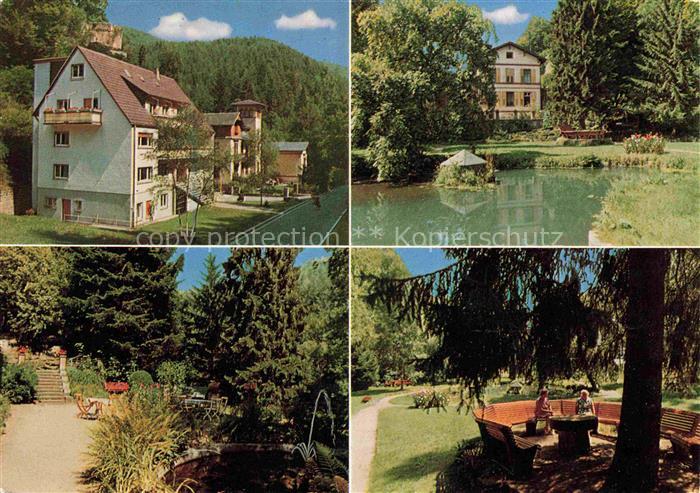 Frankenstein Pfalz Erholungs- und Altersheim Diemerstein Parkanlagen Teich