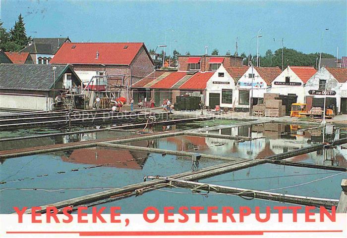 Yerseke Reimerswaal Zeeland NL Oesterputten