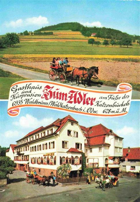 Waldkatzenbach Gasthaus und Kurpension Zum Adler Pferdekutsche