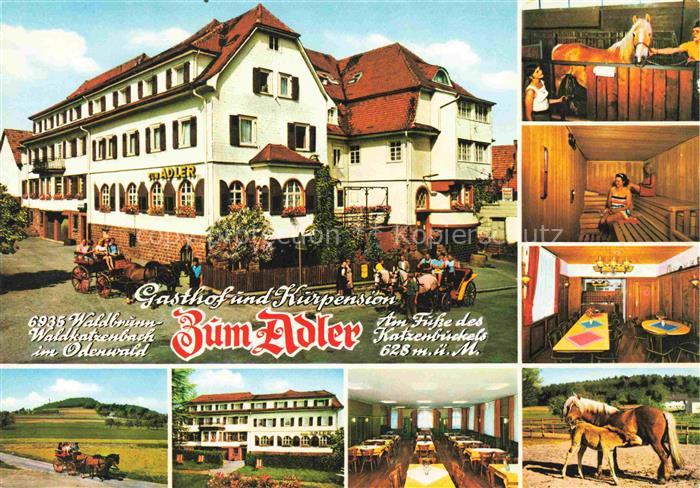 Waldkatzenbach Gasthof und Kurpension zum Adler Gastraeume Sauna Pferdekutsche S