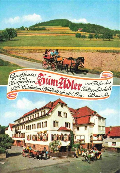 Waldkatzenbach Gasthaus und Kurpension Zum Adler Perdekutsche