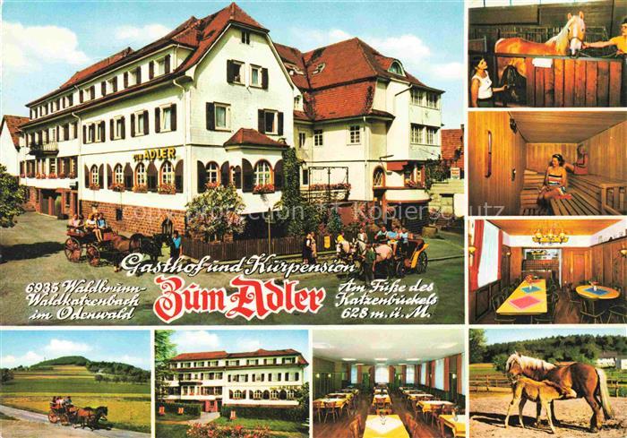 Waldkatzenbach 	
Gasthaus und Kurpension Zum Adler Perdekutsche Saune Stute mit