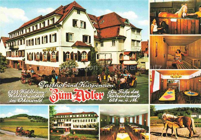 Waldkatzenbach 	
Gasthaus und Kurpension Zum Adler Perdekutsche Saune Stute mit