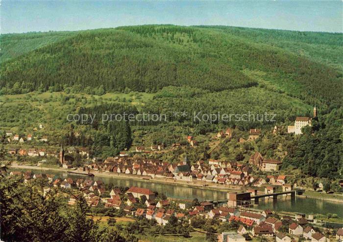 Hirschhorn Neckar Hessen Fliegeraufnahme