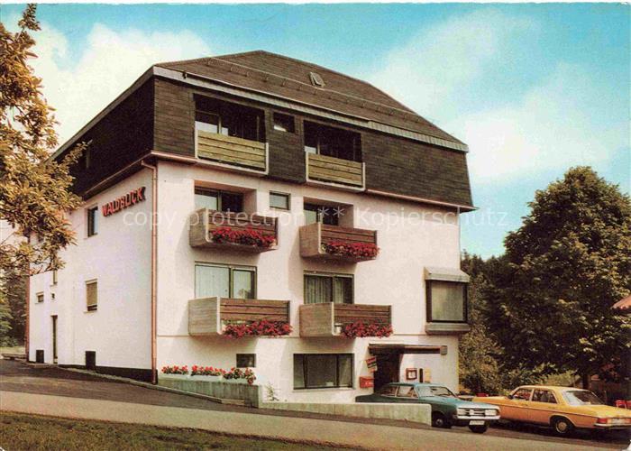 Oberdielbach Waldbrunn Odenwald BW Hotel Pension Waldblick