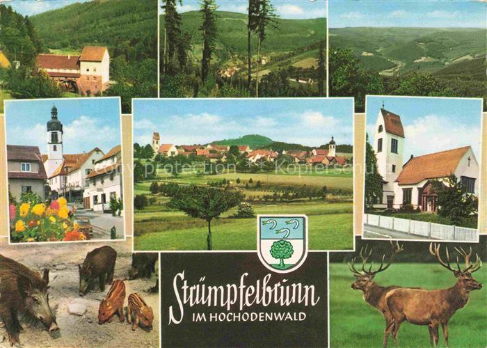 Struempfelbrunn Waldbrunn Muehle Ortspartien Kirche Panorama Schwarz und Rotwild