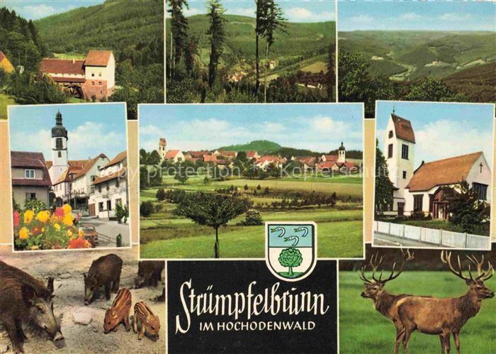 Struempfelbrunn Waldbrunn Gasthaus zur Muehle Panorama Panorama Wildpark Katz Ki