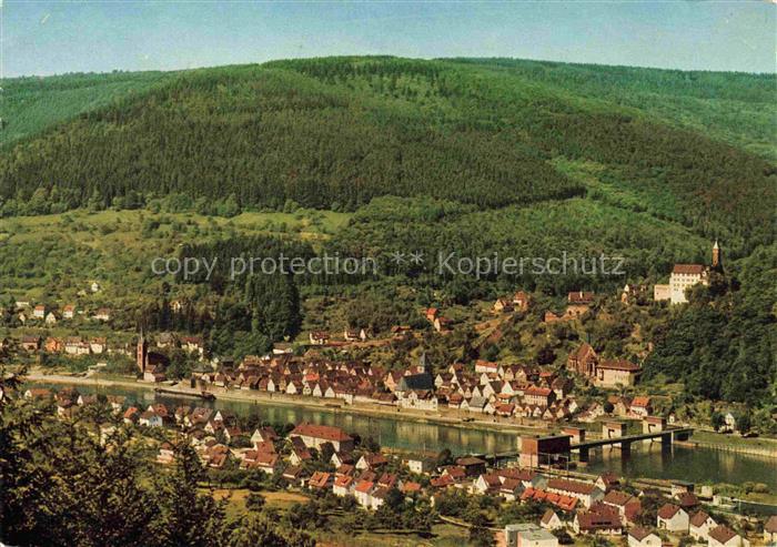 Hirschhorn Neckar Hessen Schloss Hotel auf der Burg Hirschhorn Neckarschleuse Fl