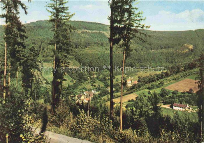 Struempfelbrunn Waldbrunn Blick in den Hofgrund mit Seckenbacher Hof