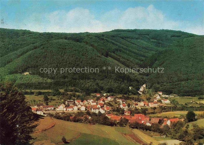 Langenthal Odenwald Hirschhorn Neckar Bergstrasse Fliegeraufnahme