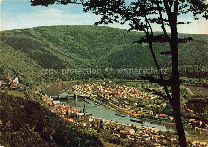 Hirschhorn Neckar Hessen Schloss Hotel Neckarpartie