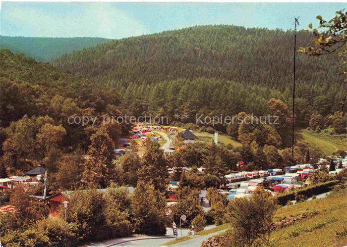 Hirschhorn Neckar Hessen Odenwald Camping Panorama