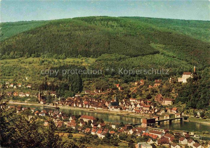 Hirschhorn Neckar Hessen Fliegeraufnahme mit Schloss Hotel Hirschhorn Neckarschl