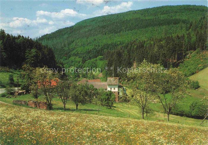 Oberhoellgrund Waldbrunn Gaststaette Zur Muehle