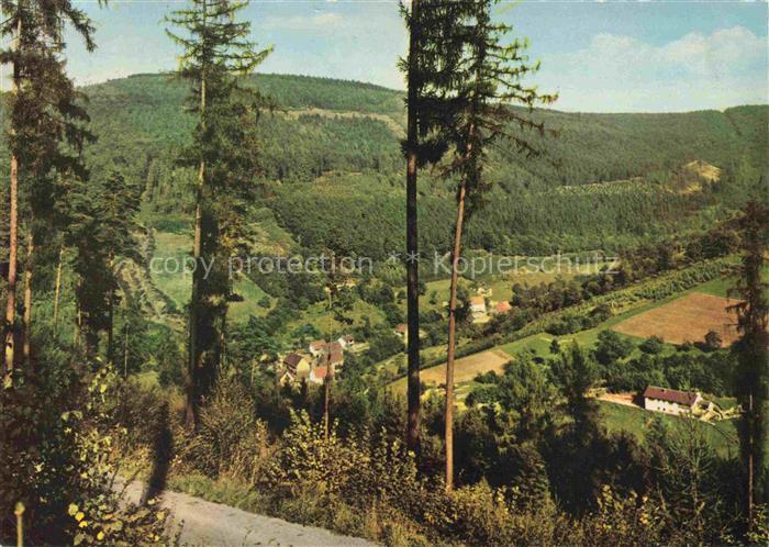 Struempfelbrunn Waldbrunn Blick in den Hoellgrund